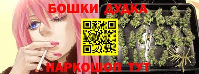 тгк Гатчина