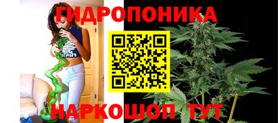 МДПВ Гагарин