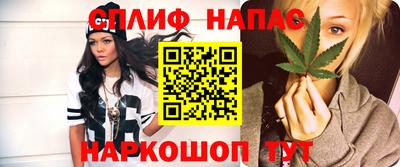 МДПВ Гагарин