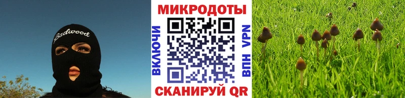 Галлюциногенные грибы Psilocybe  где можно купить наркотик  Партизанск 