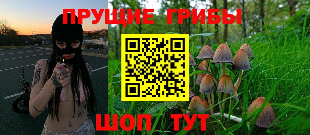Псилоцибиновые грибы Psilocybe  Псилоцибиновые грибы Cubensis  Вход с VPN  Партизанск 
