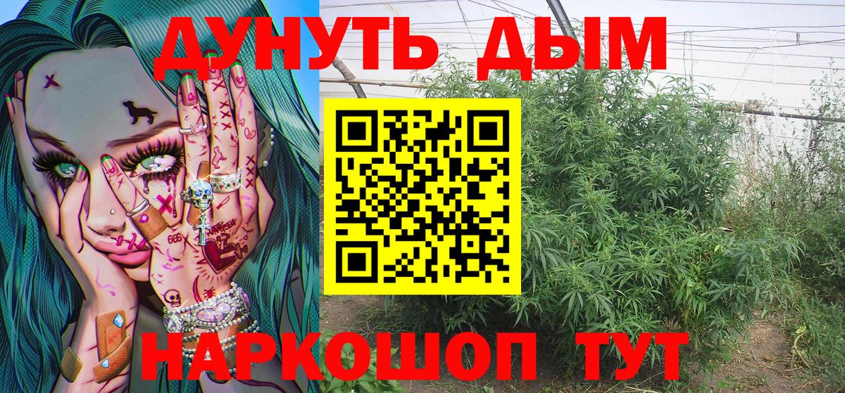 Конопля Amnesia Партизанск